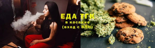 ECSTASY Бородино