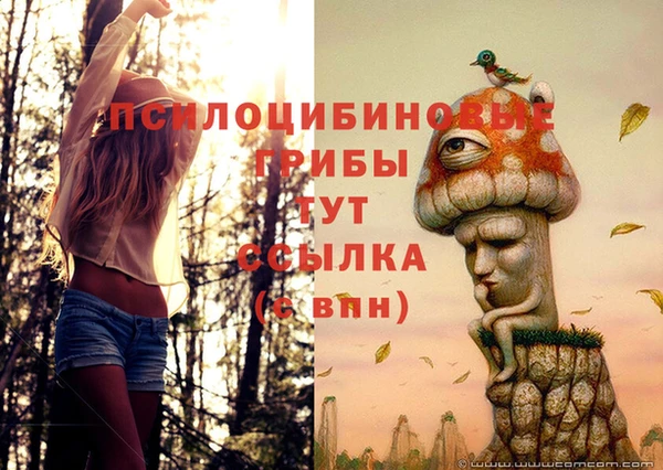 PSILOCYBIN Богородск