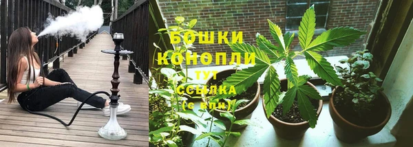 PSILOCYBIN Богородск